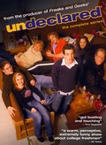TV series Undeclared poster