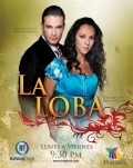 TV series La Loba poster