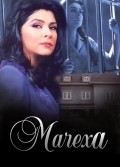 TV series La madrastra poster