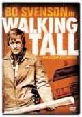 TV series Walking Tall poster
