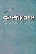 TV series Goenkale  (serial 1994 - ...) poster