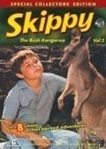TV series Skippy poster
