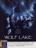 TV series Wolf Lake poster