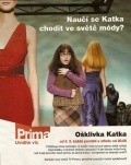 TV series Osklivka Katka poster