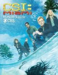TV series CSI: Miami poster
