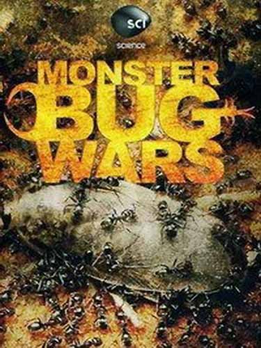 Monster Bug Wars! is similar to Hello Ladies.